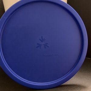 Tupperware canister 5.5L